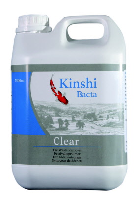 kinshi 019