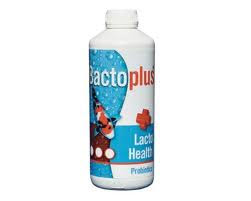 bactoplus lacto health_000